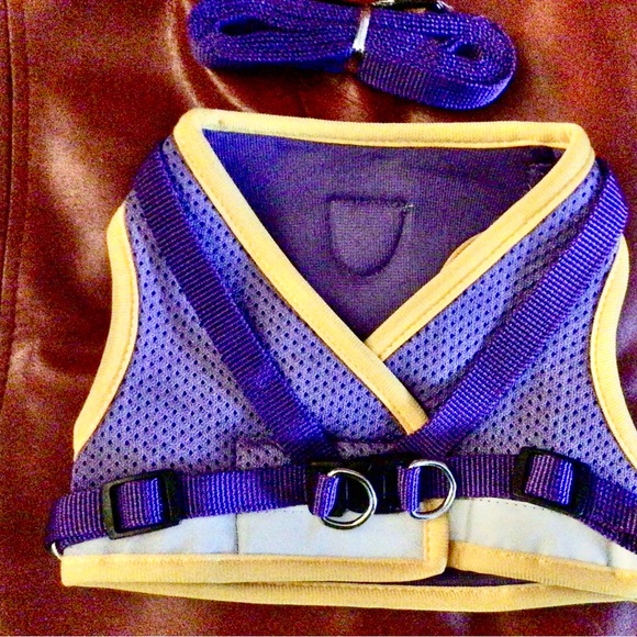 Dogs Harness and leash and dog brush,. new - Picture 9 of 16